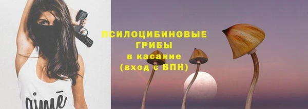 PSILOCYBIN Алексин