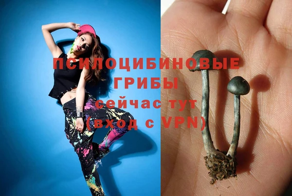 a pvp Абинск