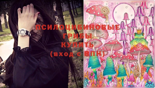 a pvp Абинск
