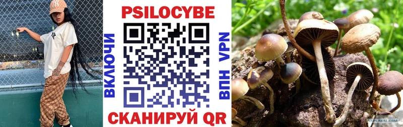 Псилоцибиновые грибы Magic Shrooms  Вышний Волочёк 